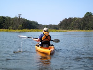 Approaching Yellow Flowers