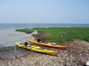 Chesapeake Bay Beach 