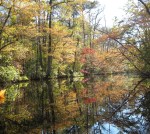 Dramatic Reflections