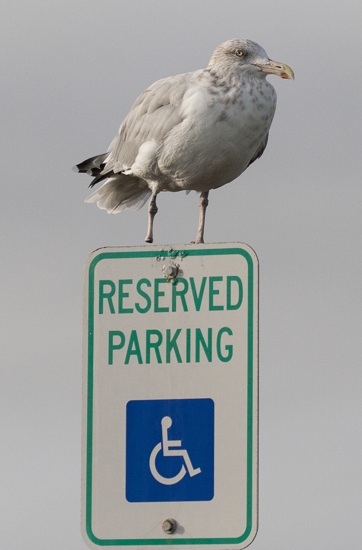 20161001_174506_Reserved parking space