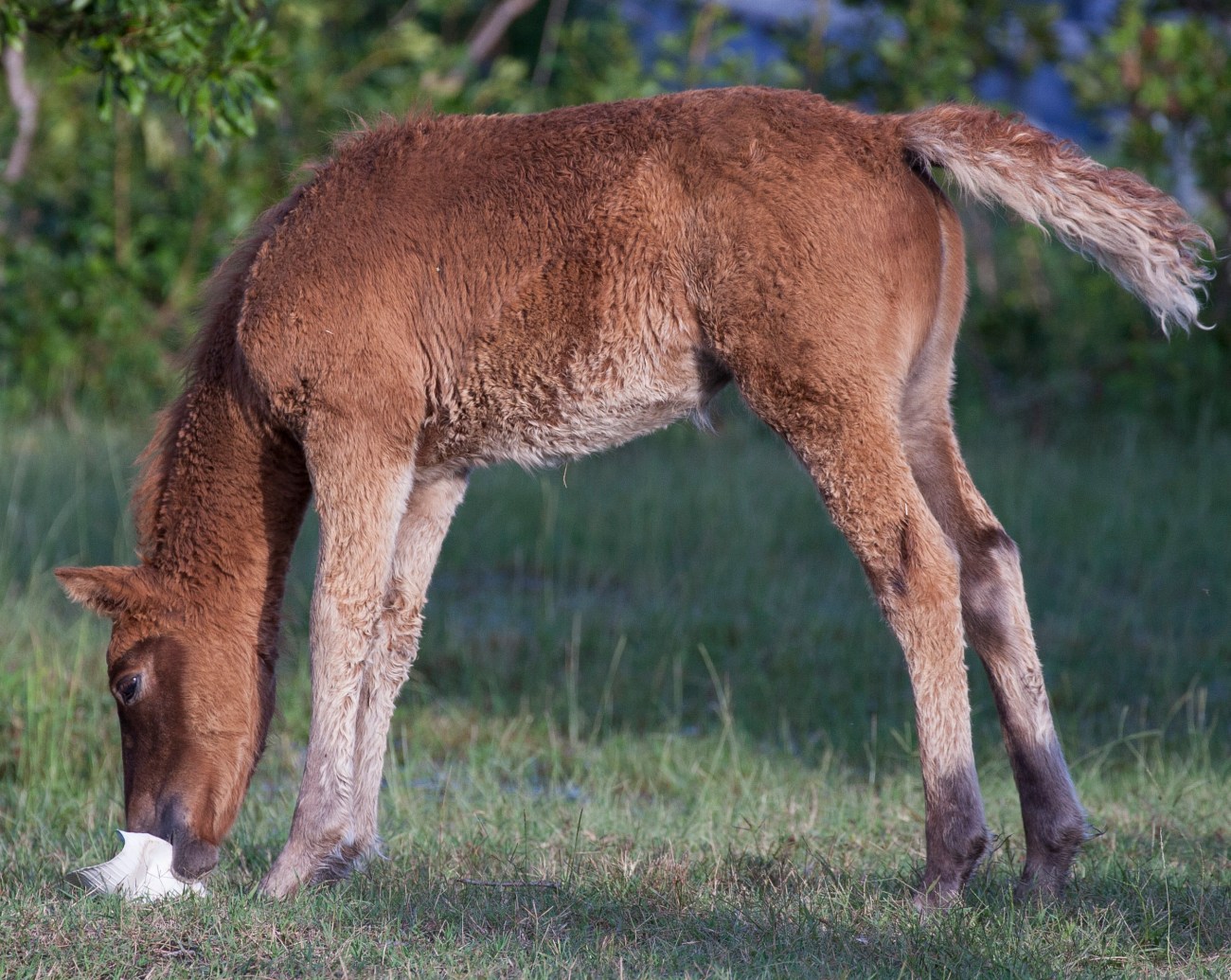 20161001_180346_Playing with a paper plate