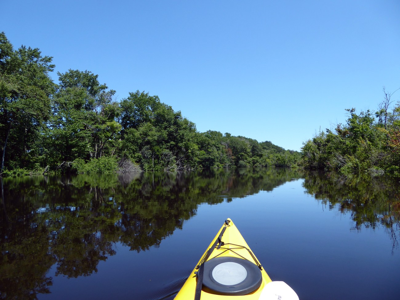 20170730_132528_Mirror Reflections
