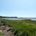 20170904_125403_Inland tidal pools on Miles Island