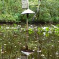20170917_152115_Bird House Reflection