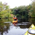 20170917_154350_Paddling downstream on the Nassawango