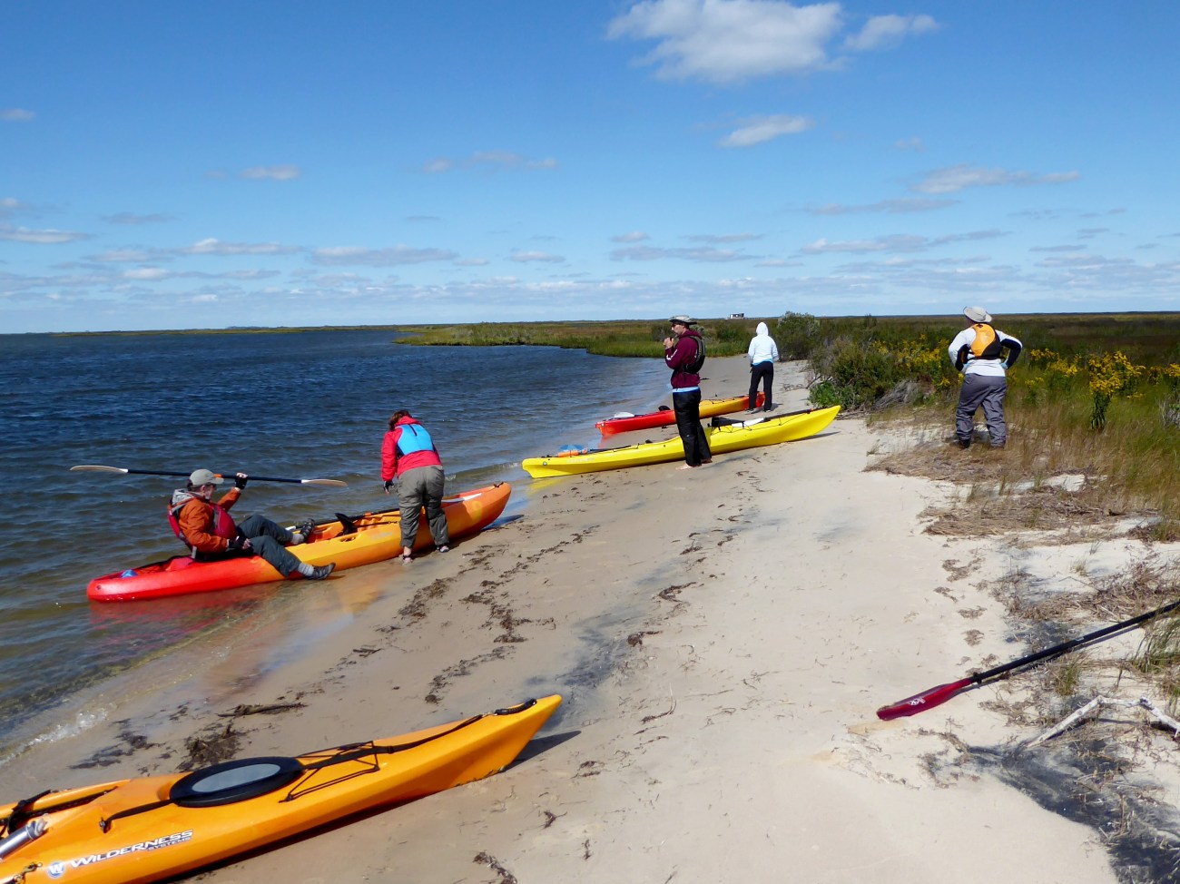 20170930_115008_Coming ashore at beach 1
