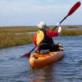 20171005_132519_In the marshland