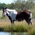 20171005_141204_You looking at me kid