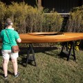 20171007_093108_Beautiful wooden kayak