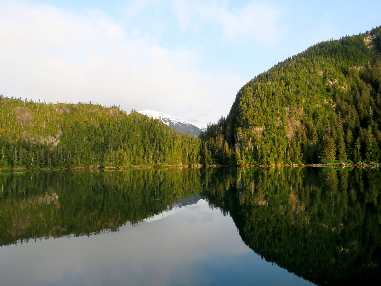 20160525_101133_Morning calm on Takatz Bay