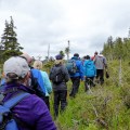 20160526_155226_Hiking up to the muskeg bog
