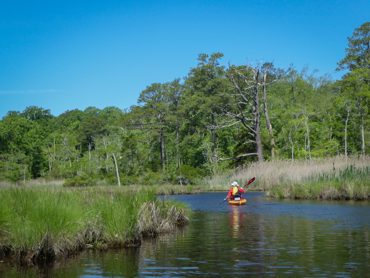 20180526_112117_Entering the narrow part of the creek