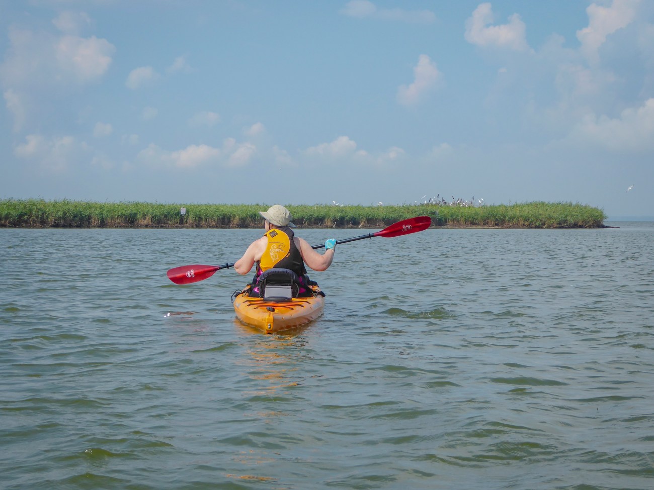 20180727_104652_Approaching Bird Island
