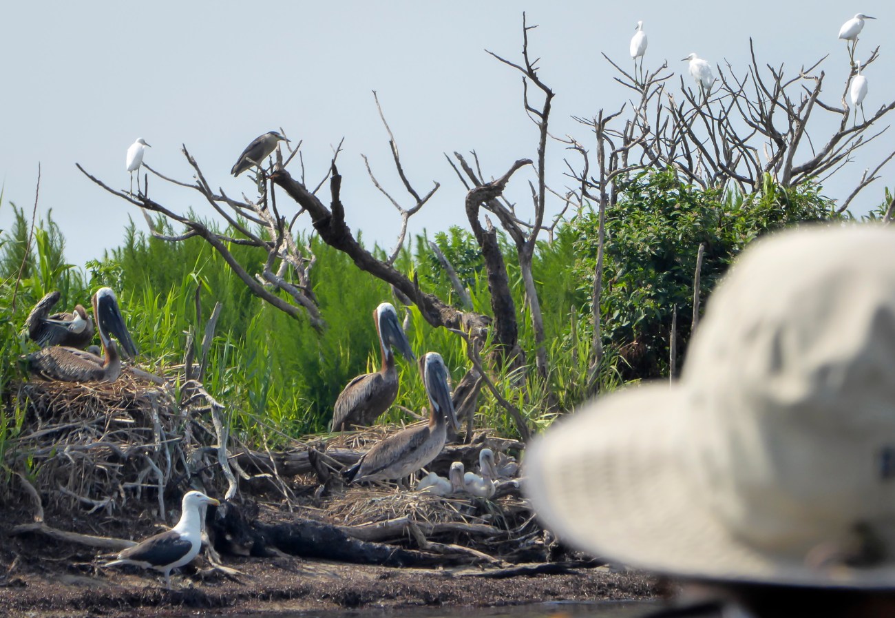 20180727_110313_Judy watches