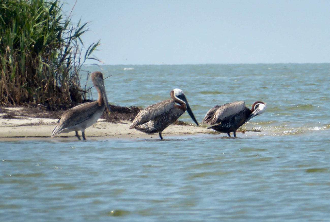20180727_110434_The Three Amigos