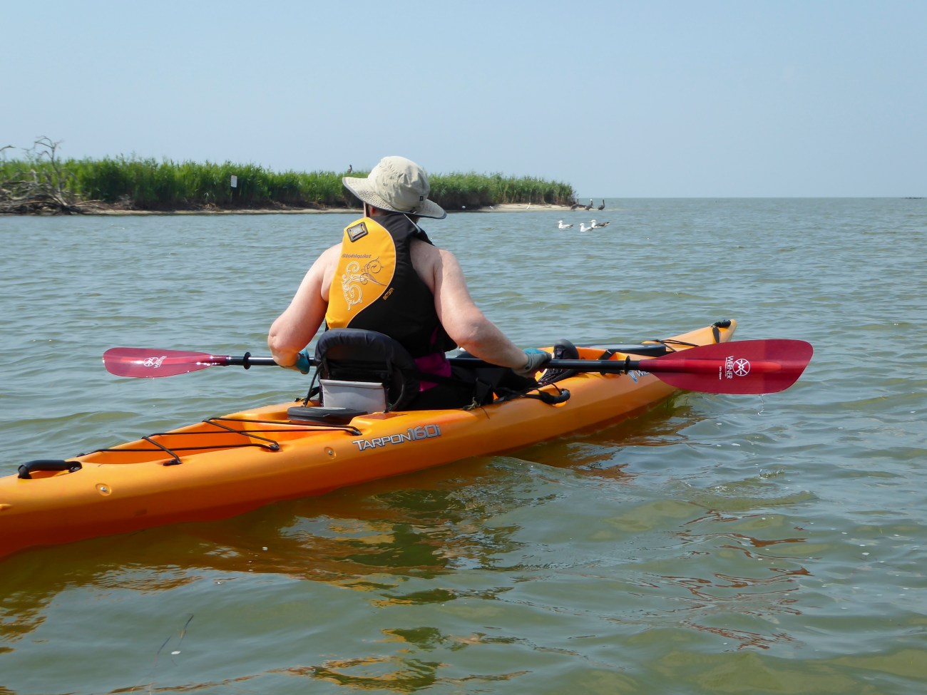 20180727_110444_Rounding the island