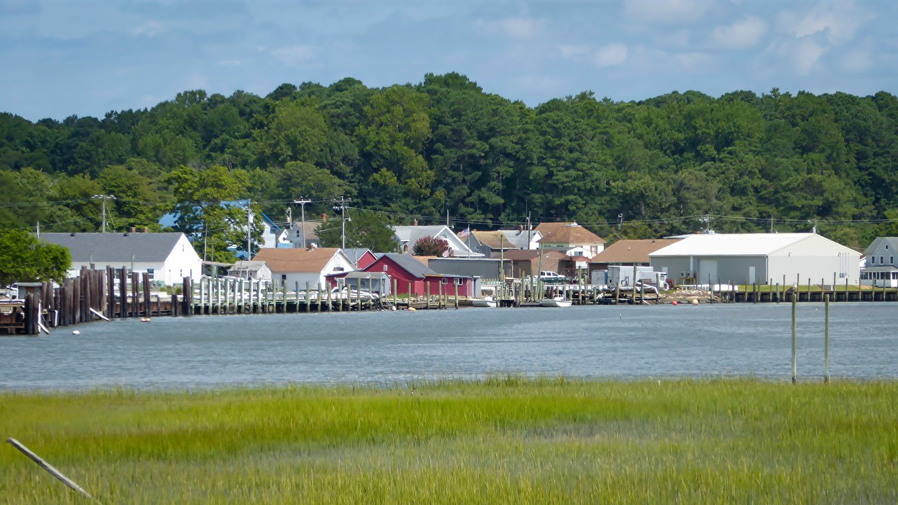 20180825_113824_Willis Wharf