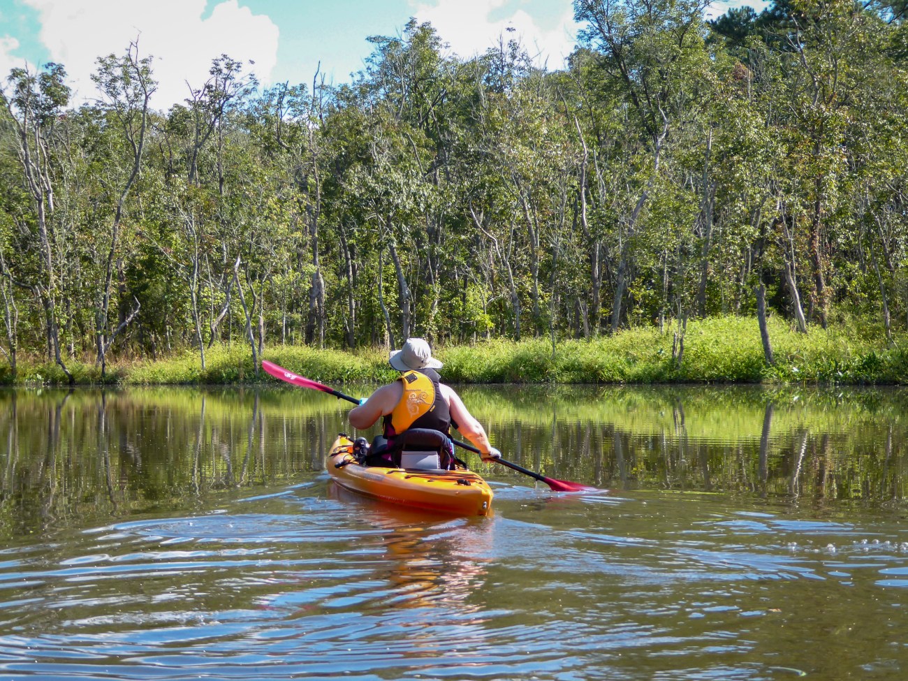 20180903_110723_Green Reflections