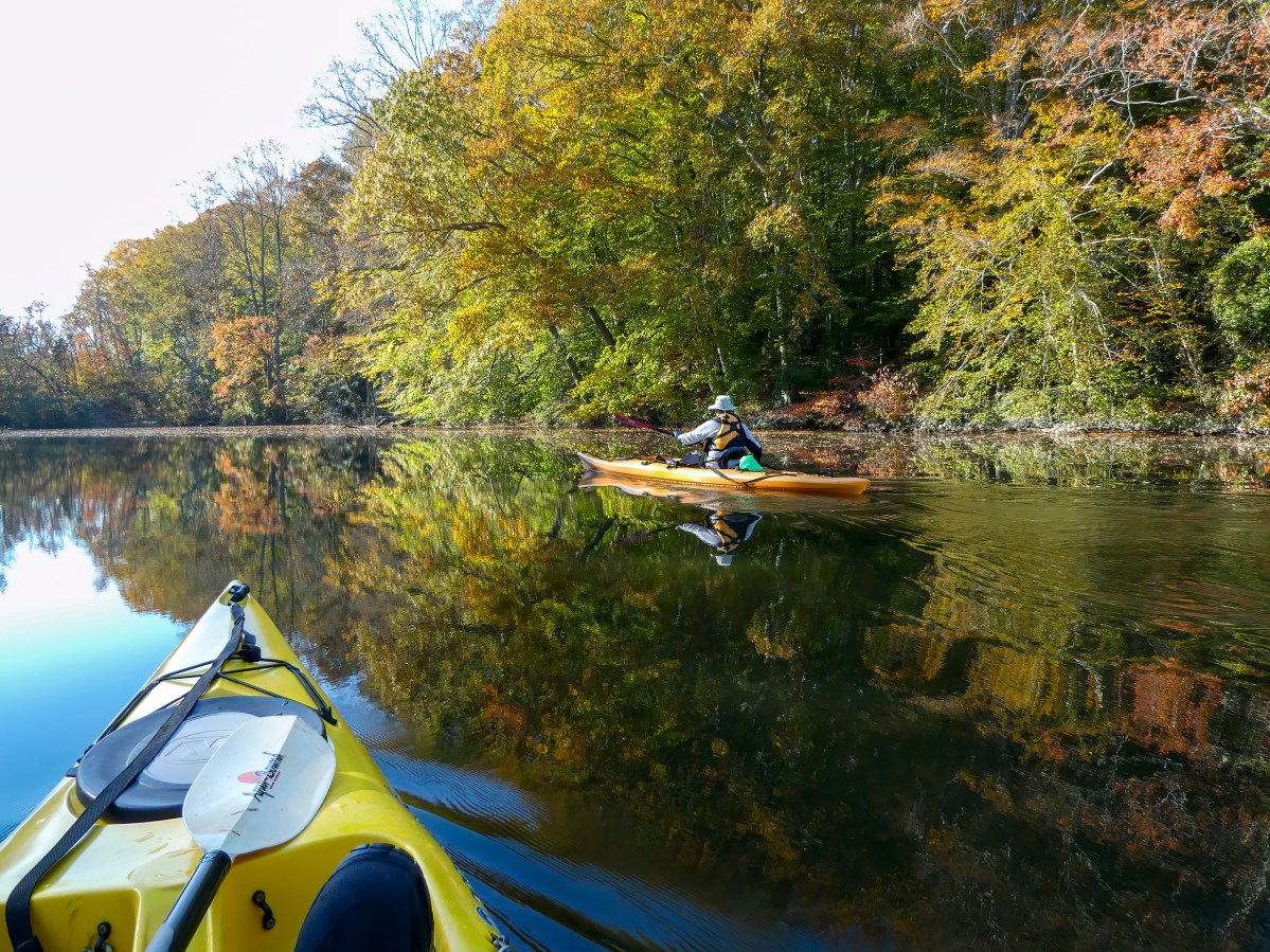Broadkill Colors Kayaking Delmarva